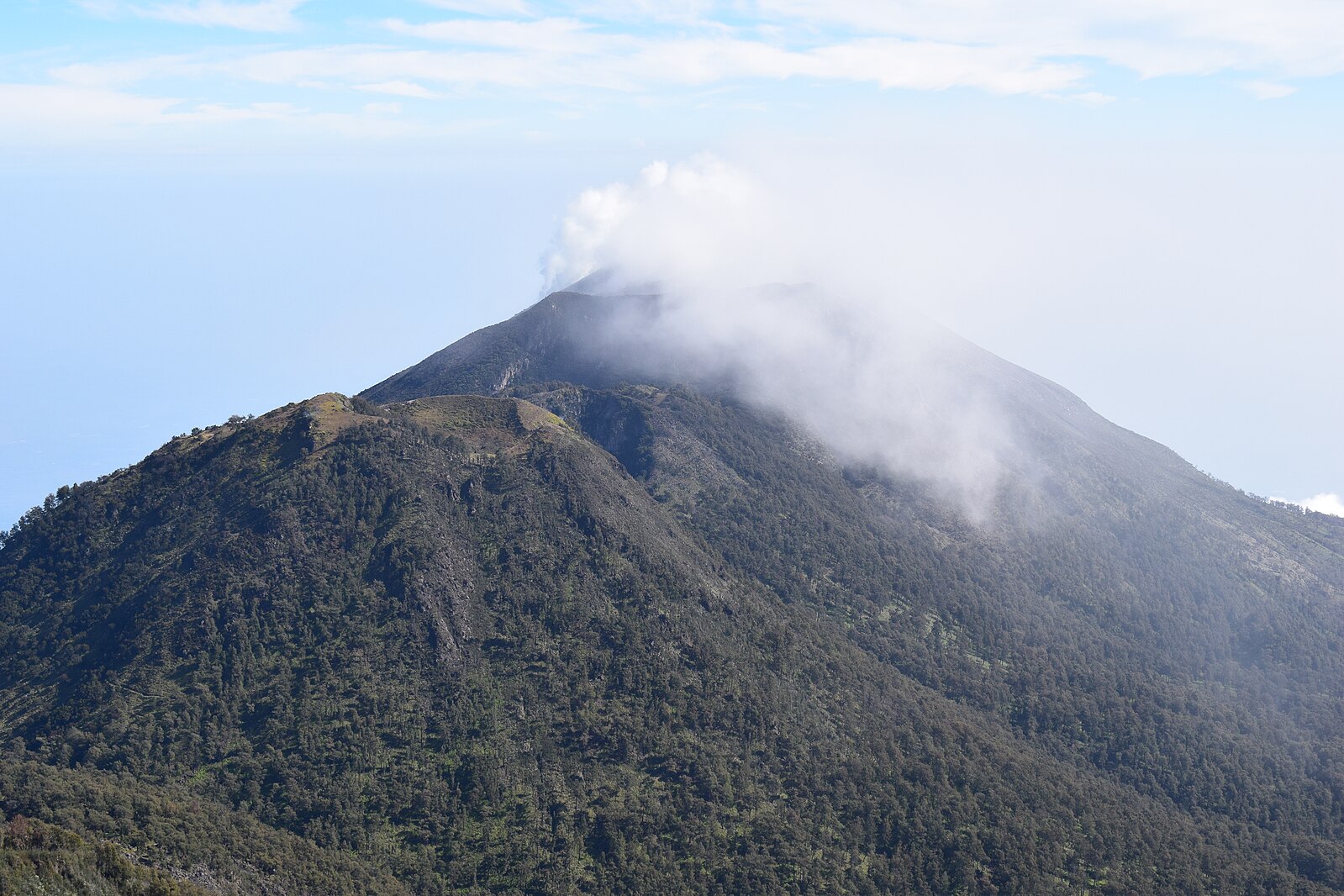Pemandangan Gunung Welirang © Wikimedia Commons 