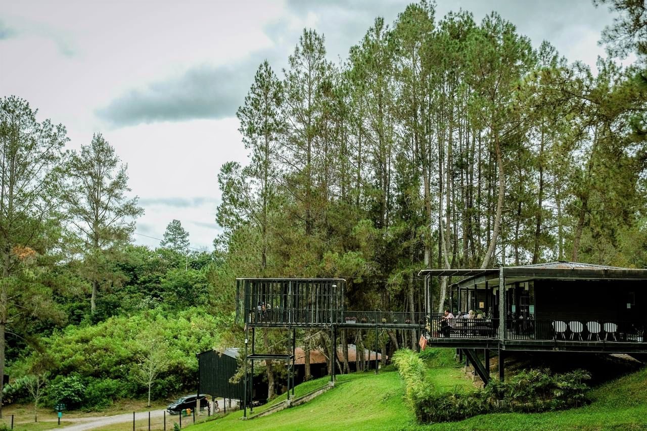 Kawasan Taman Wisata Alam Sijaba Hutaginjang berada di dekat Danau Toba | Foto: Kemenparekraf/kemenparekraf.go.id