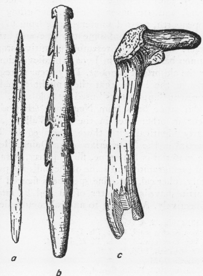 Alat-alat yang diduga digunakan oleh Manusia Solo: a) duri ikan pari, b) tombak atau ujung tombak dari tulang, c) fragmen tanduk rusa © Wikimedia/Franz Weidenreich