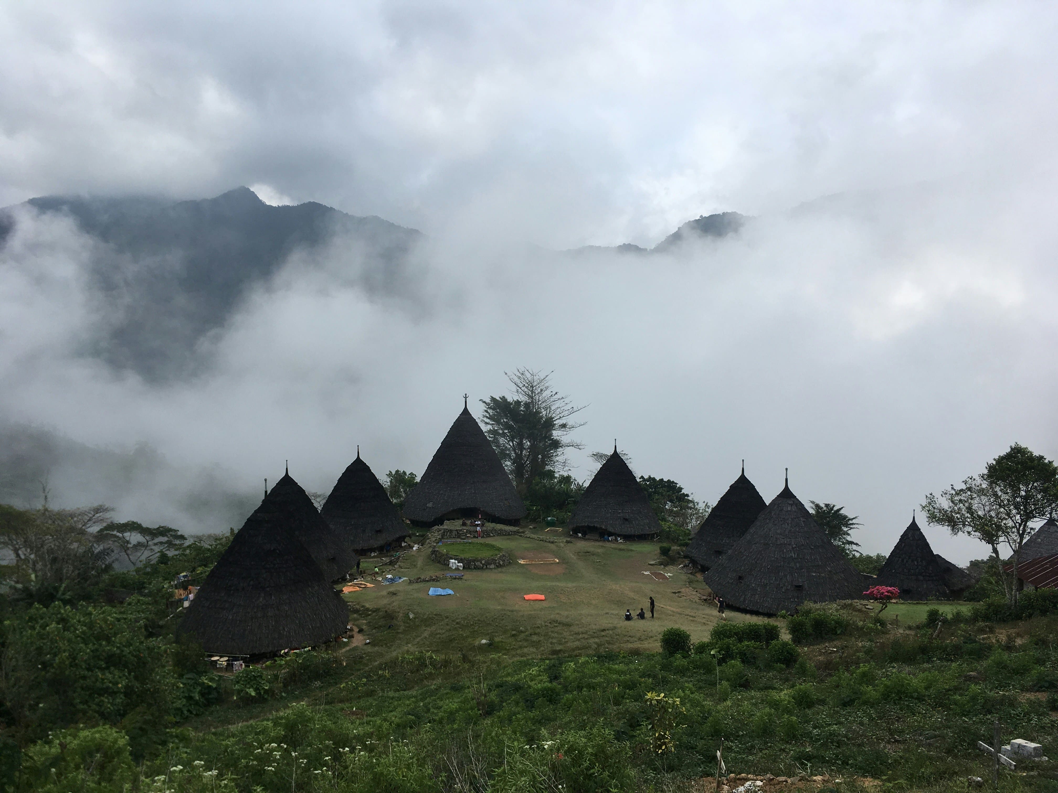 Keindahan Desa Wae Rebo diselimuti kabut 