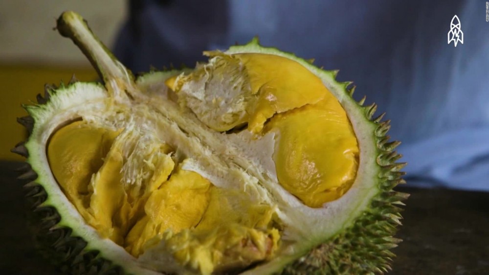 Durian Asal Bangka Ini Dijual dengan Harga 300ribu! Apa Istimewanya?