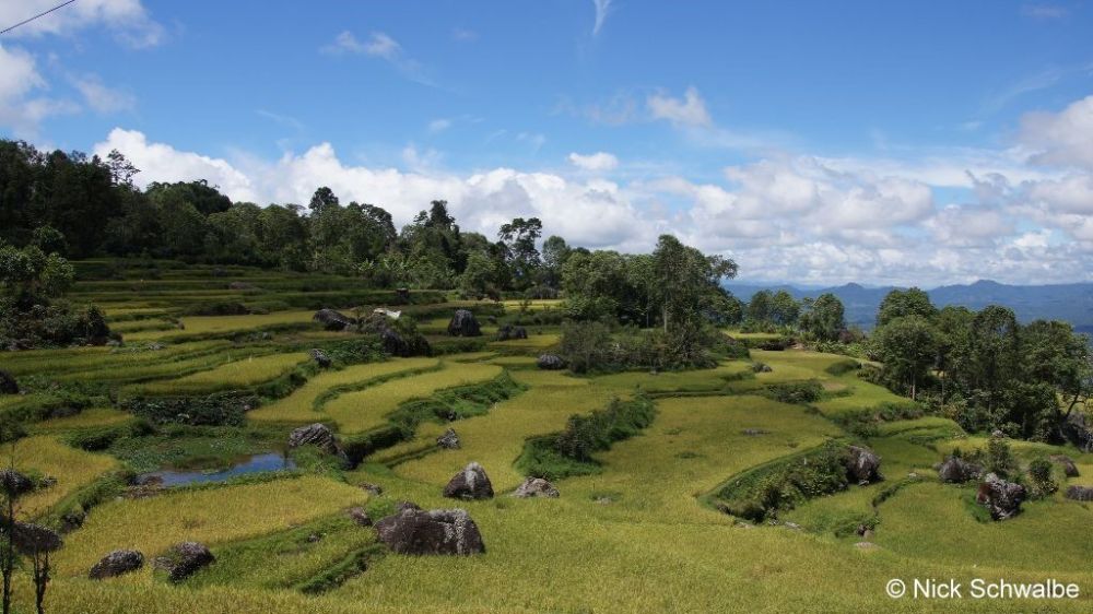 Sulawesi, Penyumbang Terbesar Pertumbuhan Ekonomi Indonesia