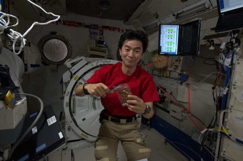 Astronot Jepang Terpesona dengan Indonesia dari Luar Angkasa