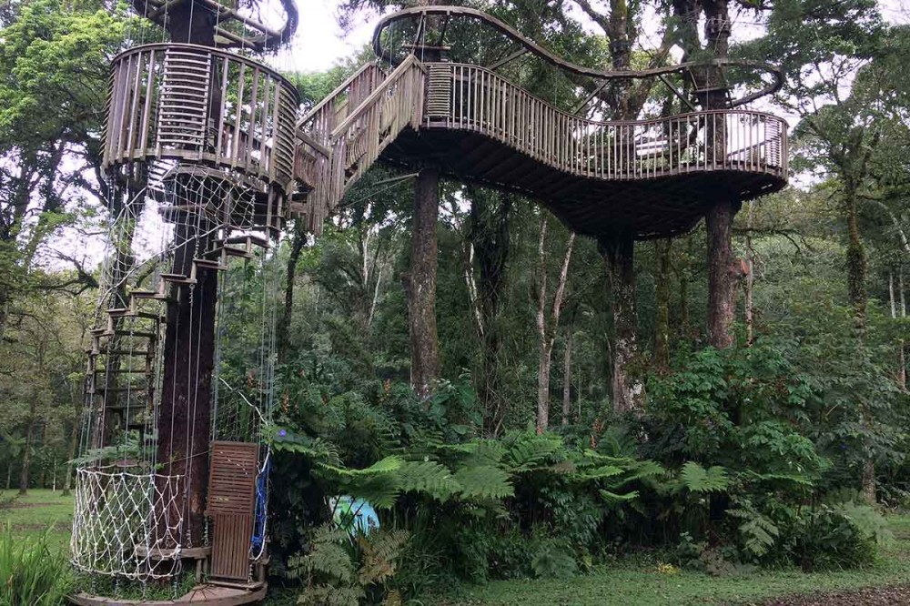 Tanaman 'Berbicara' di Kebun Raya Bedugul Bali