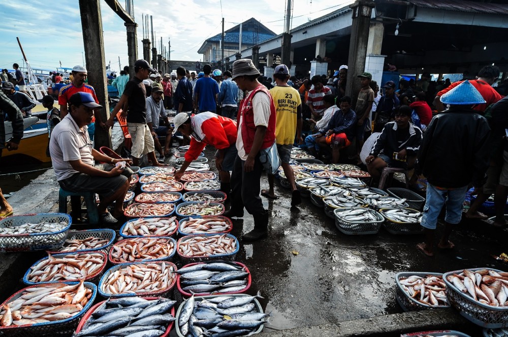 Pertumbuhan Ekspor Ikan Indonesia Ungguli Tiongkok