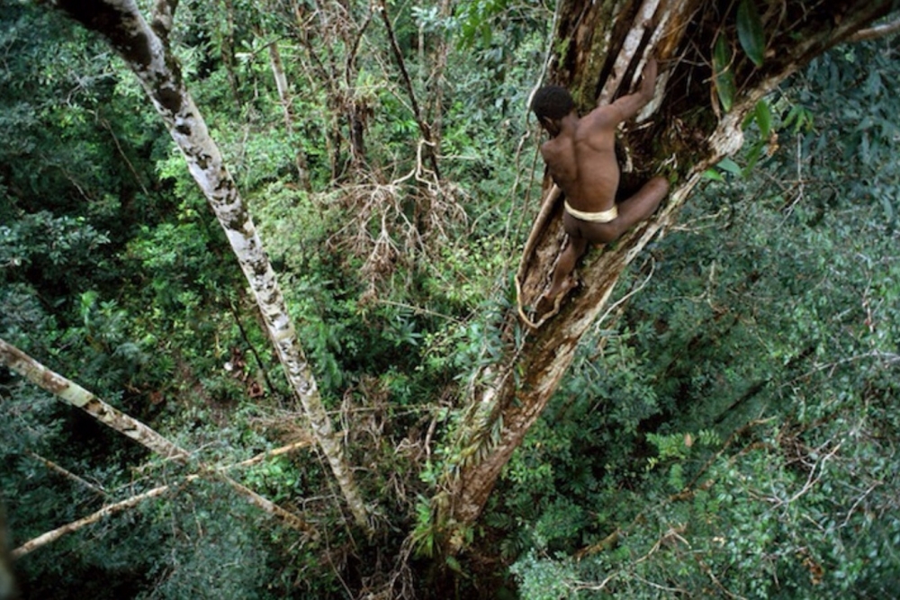 Foto-foto Luar Biasa Rumah Pohon Suku Korowai di Papua 