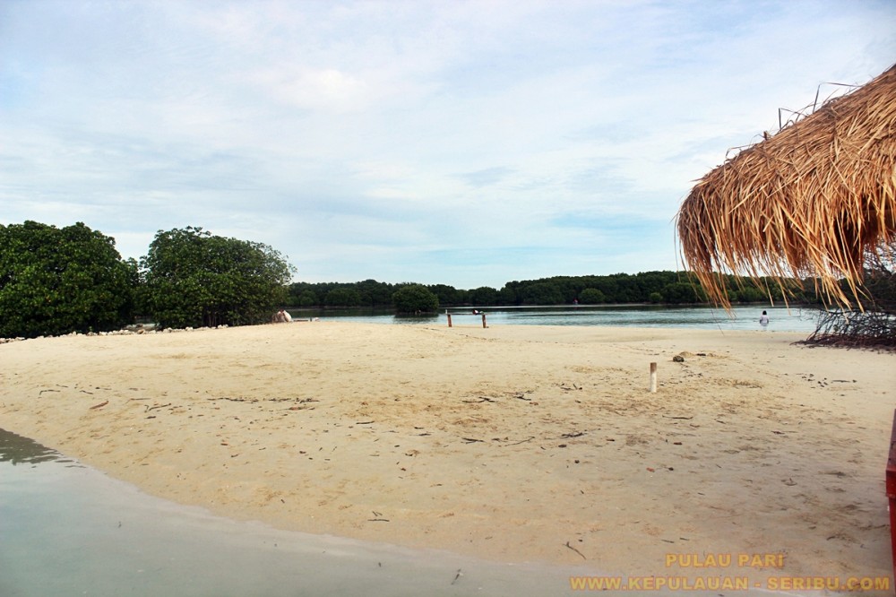 Pulau Pari Destinasi Wisata Pantai Pasir Perawan Dan Bukit Matahari Di