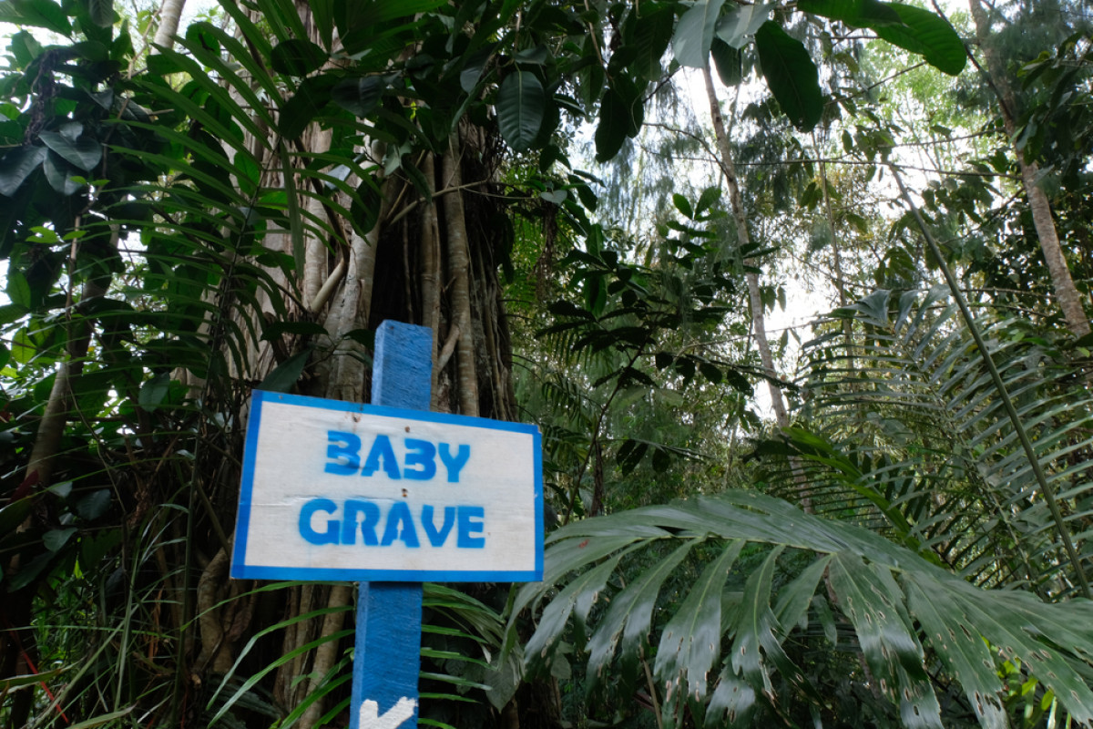 Passiliran, Tradisi Suku Toraja Memakamkan Bayi di Batang Pohon