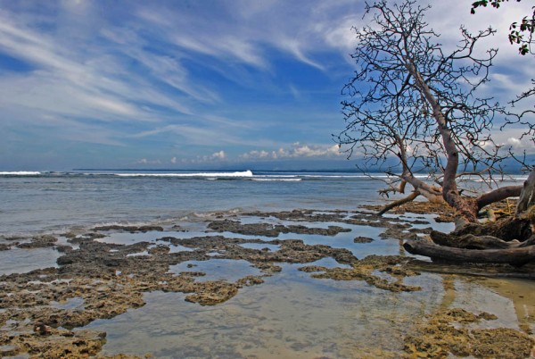 DSC_9663 Tanjung Setia