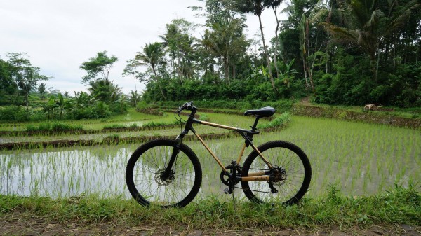 Spedagi Sepeda bambu