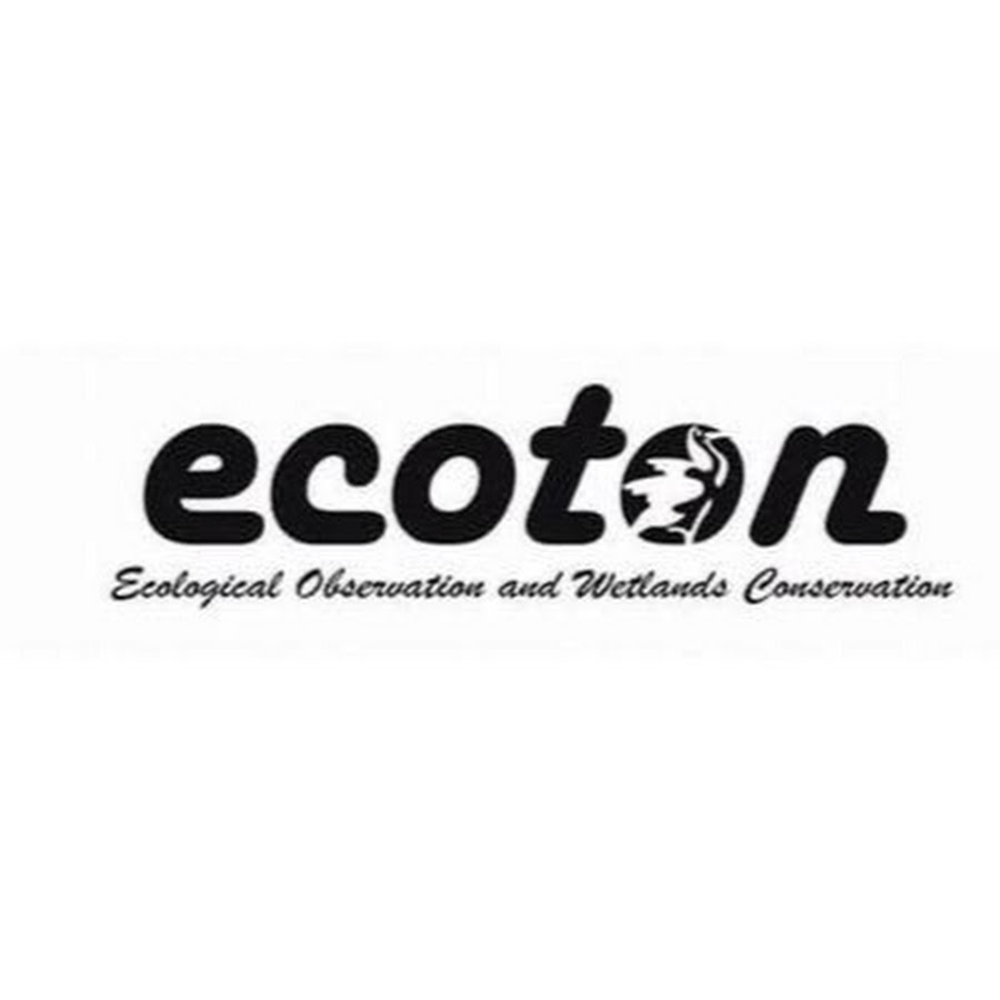 Logo Ecoton | Foto: Ecoton Foundation/youtube.com