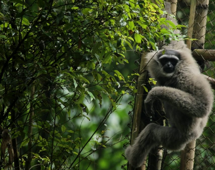 Foto: Conservation International Indonesia