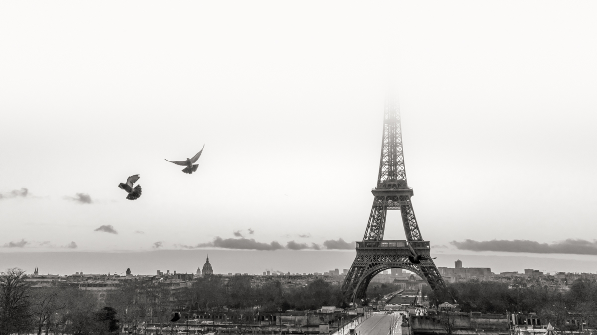 early morning, paris | Josselin Cornou / Adobe.com