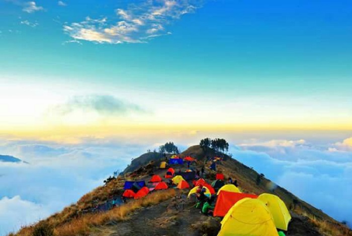 Pos Pelawangan Gunung Rinjani yang biasa dijadikan tempat pendaki berkemah | Foto: lookrinjani.com