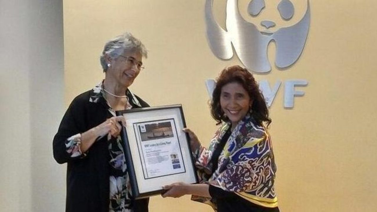 Penghargaan Leader of A Living Planet yang diterima Susi Pudjiastuti dari WWF | foto: suratkabar.id