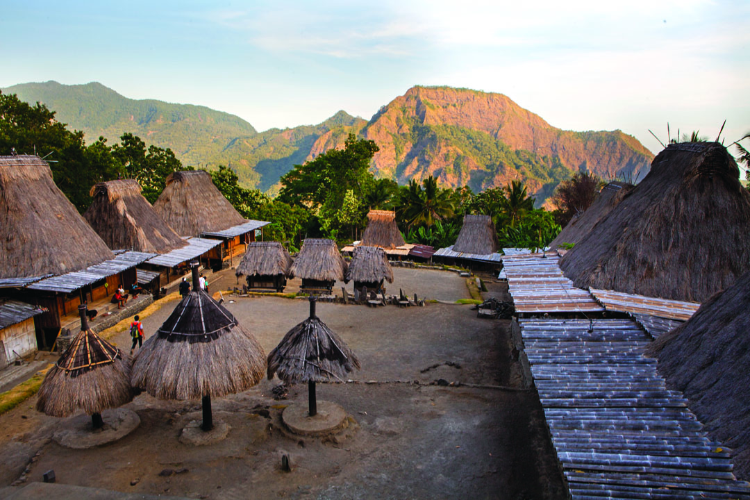 Kampung Gurusina di Flores | foto : PesonaIndonesia