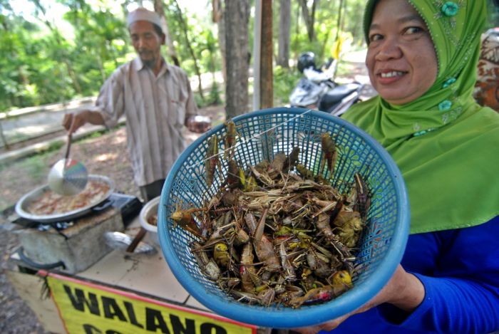 Salah satu penjual belalang goreng di kawasan Gunung Kidul l Sumber: Aditya Pradana Putra