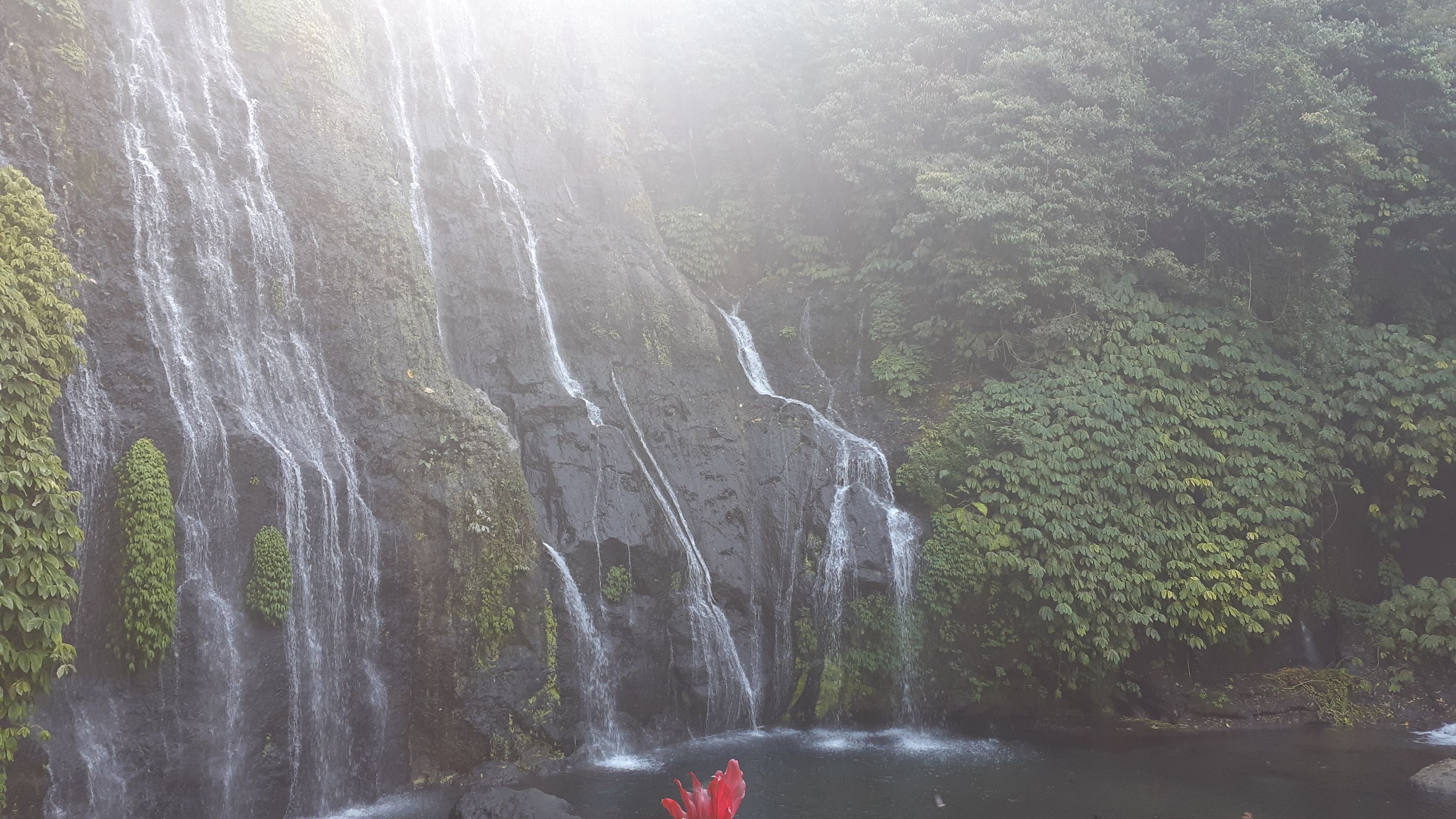 Air Terjun Banyumala yang terkenal dengan nama Banyumala Twin Waterfalls atau Air Terjun Kembar Banyumala karena aliran airnya yang seolah terbentuk bak anak kembar | Foto: Vita Ayu Anggraeni