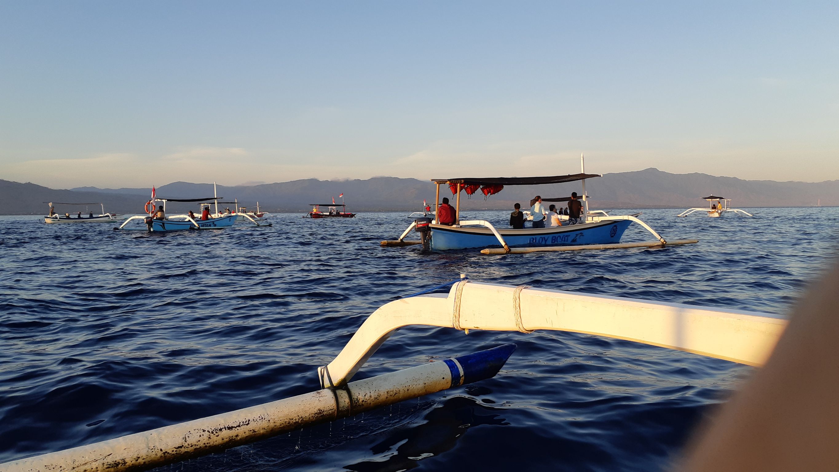Kapal-kapal yang digunakan untuk menuju laut di Pantai Lovina | Foto: Vita Ayu Anggraeni