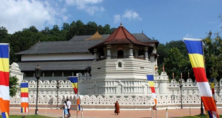 Salah satu destinasi wisata di Sri Lanka | Sumber: Tour Radar