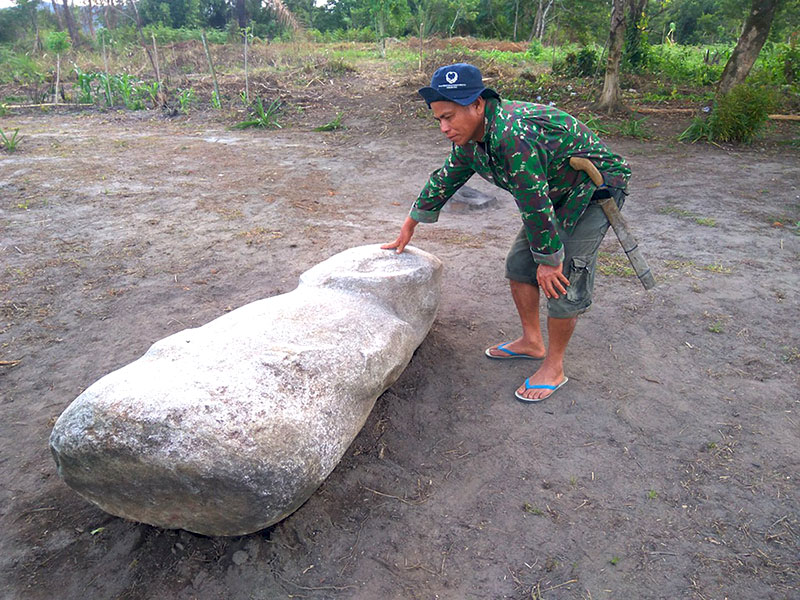 Odi Wengkaw, penjaga situs megalitik memperlihatkan arca Suso yang belum lama dipindahkan dari sungai dengan posisi tidur | Foto: Christopel Paino/Mongabay Indonesia