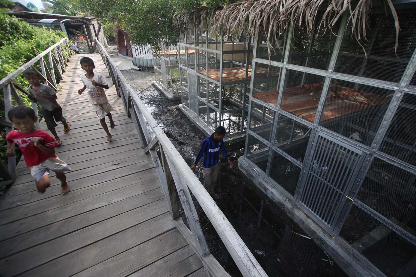 Pusat perkembangbiakan dan rehabilitasi Heron di Situbondo | Foto: Boy T Harjanto / Jakarta Post