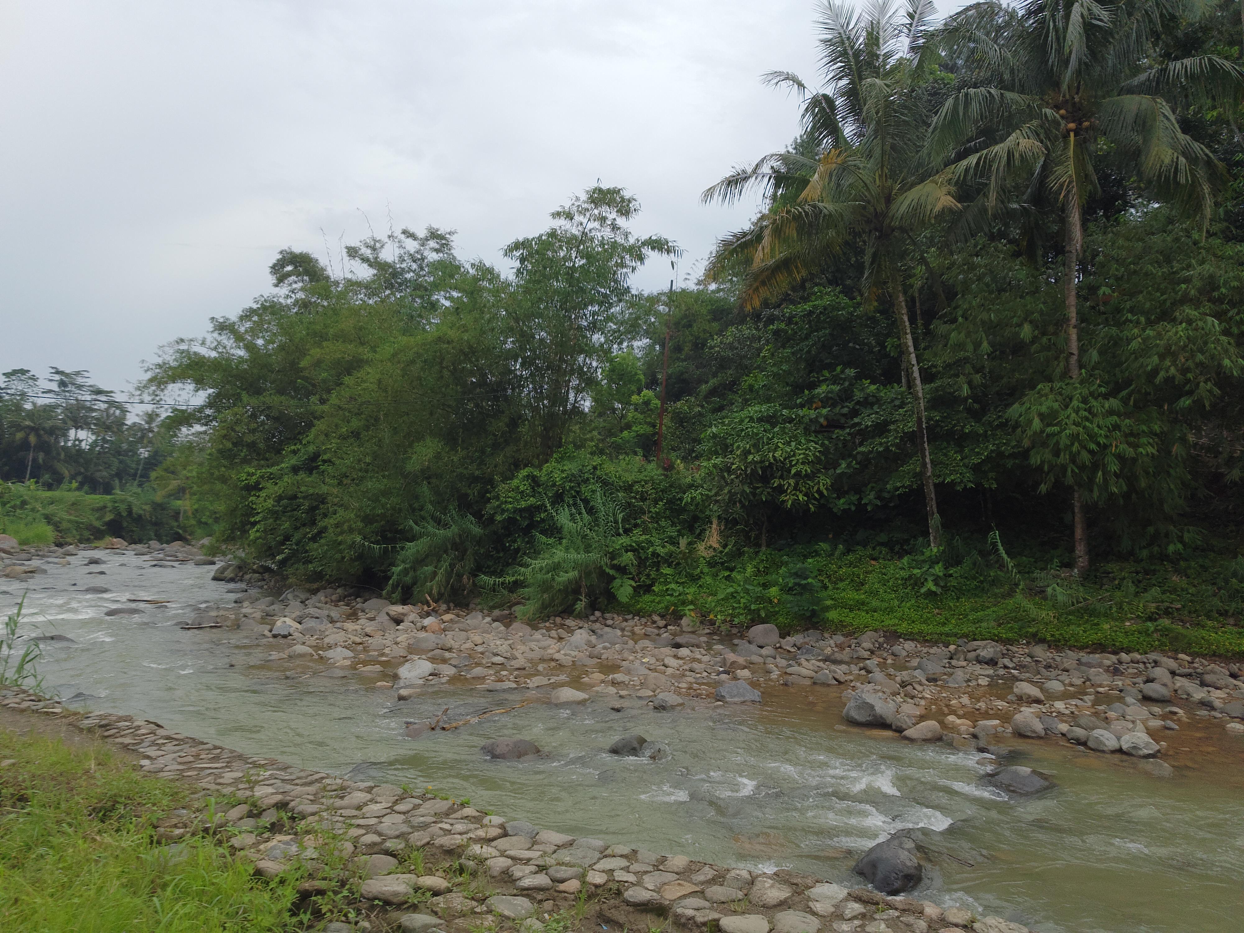 Penampakan sungai dangkal di bawah jembatan gantung menuju | Foto: Vita Ayu Anggraeni / GNFI