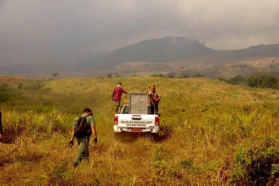 Perjalanan menuju lokasi pelepasliaran macan tutul jawa, di Gunung Ciremai, Kabupaten Kuningan, Jawa Barat | Foto: Donny Iqbal/Mongabay Indonesia