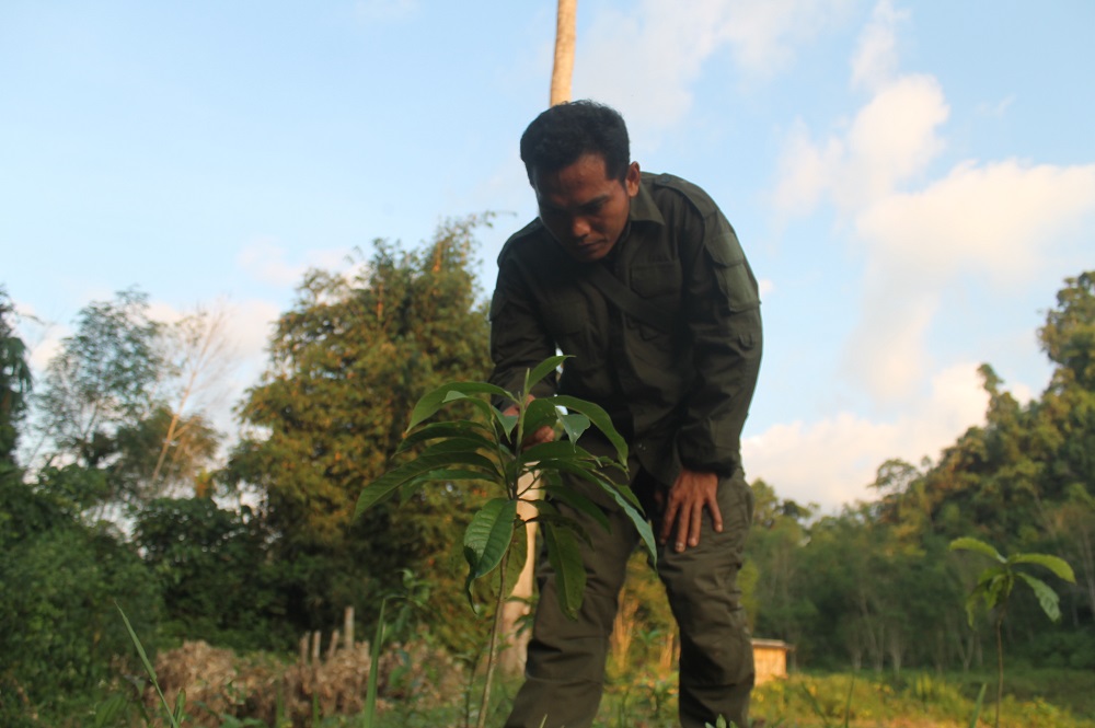 Tim patroli Hutan Desa Rio Kemunyang di lokasi pembibitan dengan tanaman lokal bambang lanang | Foto: Elviza Diana/ Mongabay Indonesia
