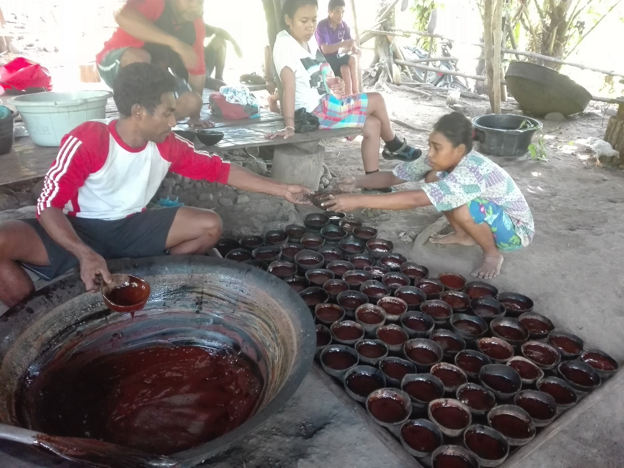 Warga Samo mulai bikin gula aren. Tanaman ini banyak di sana | Foto: Mahmud Ichi/ Mongabay Indonesia