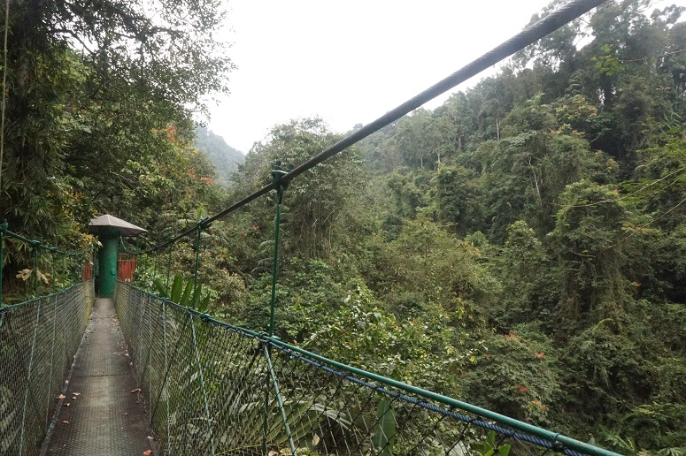 Jembatan gantung yang ada di Taman Nasional (Foto: Bagus DR / GNFI)
