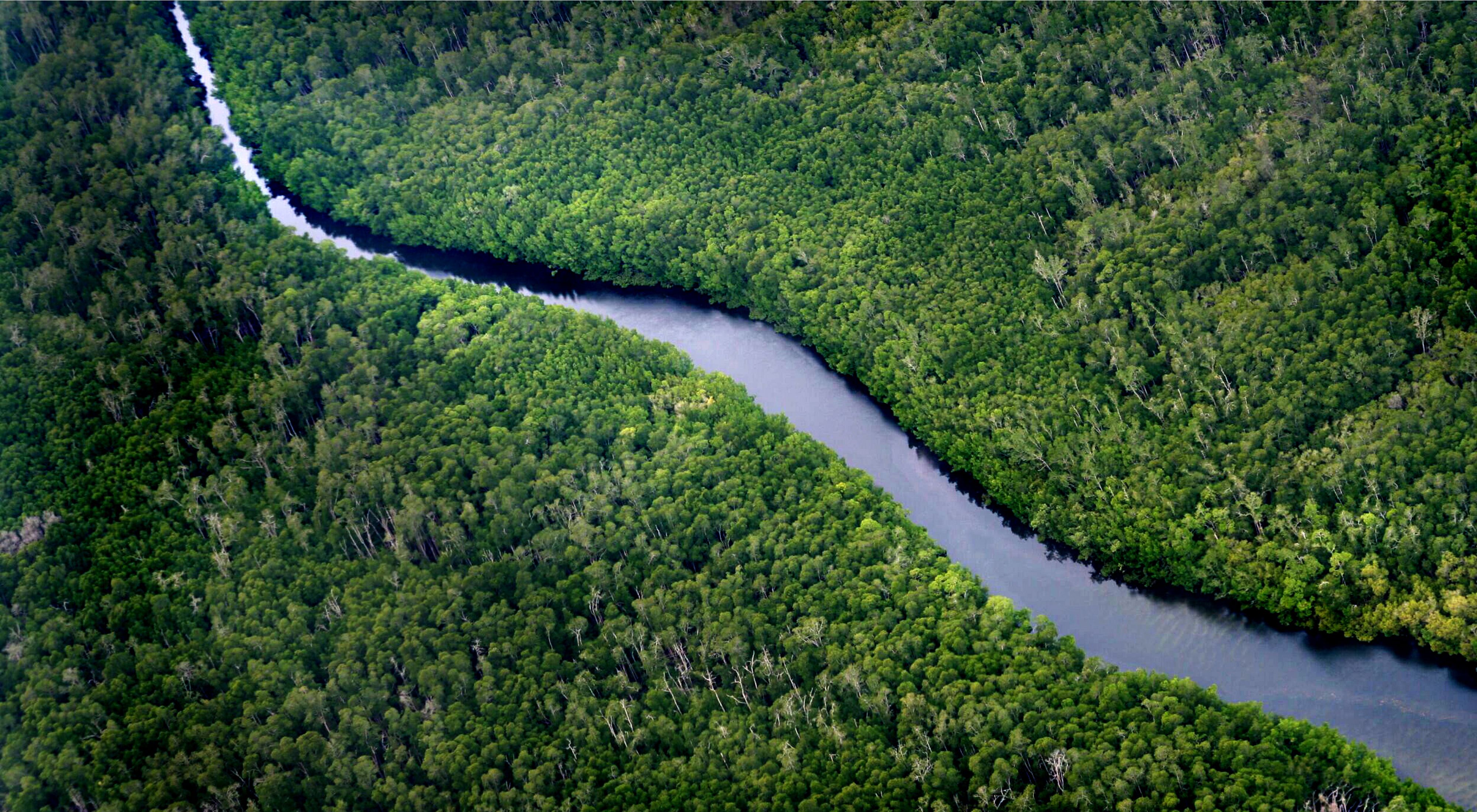 Ilustrasi sungai di Kalimantan | Foto: nature.org