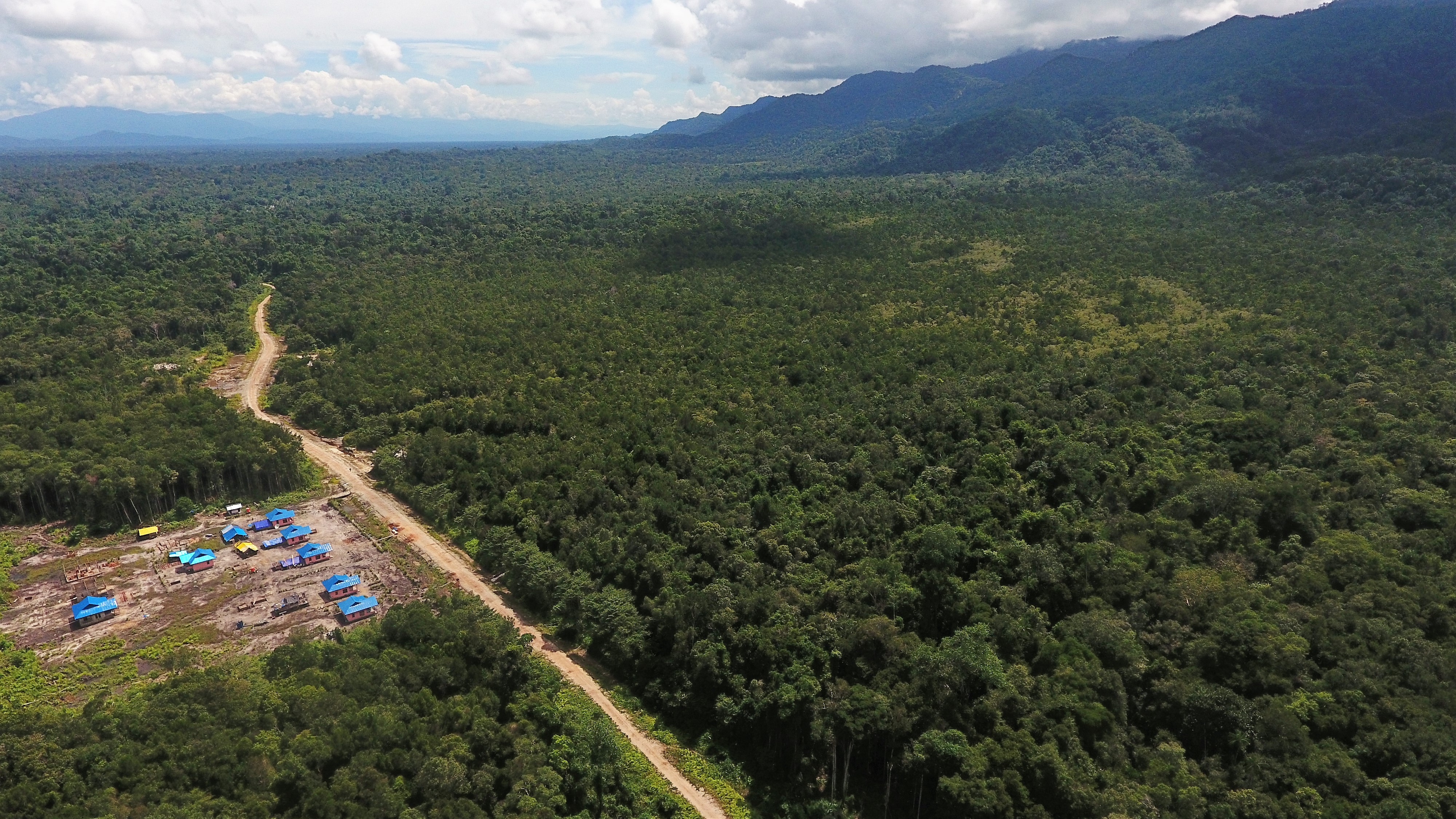 Hutan di Papua | Foto: mongabay.co.id
