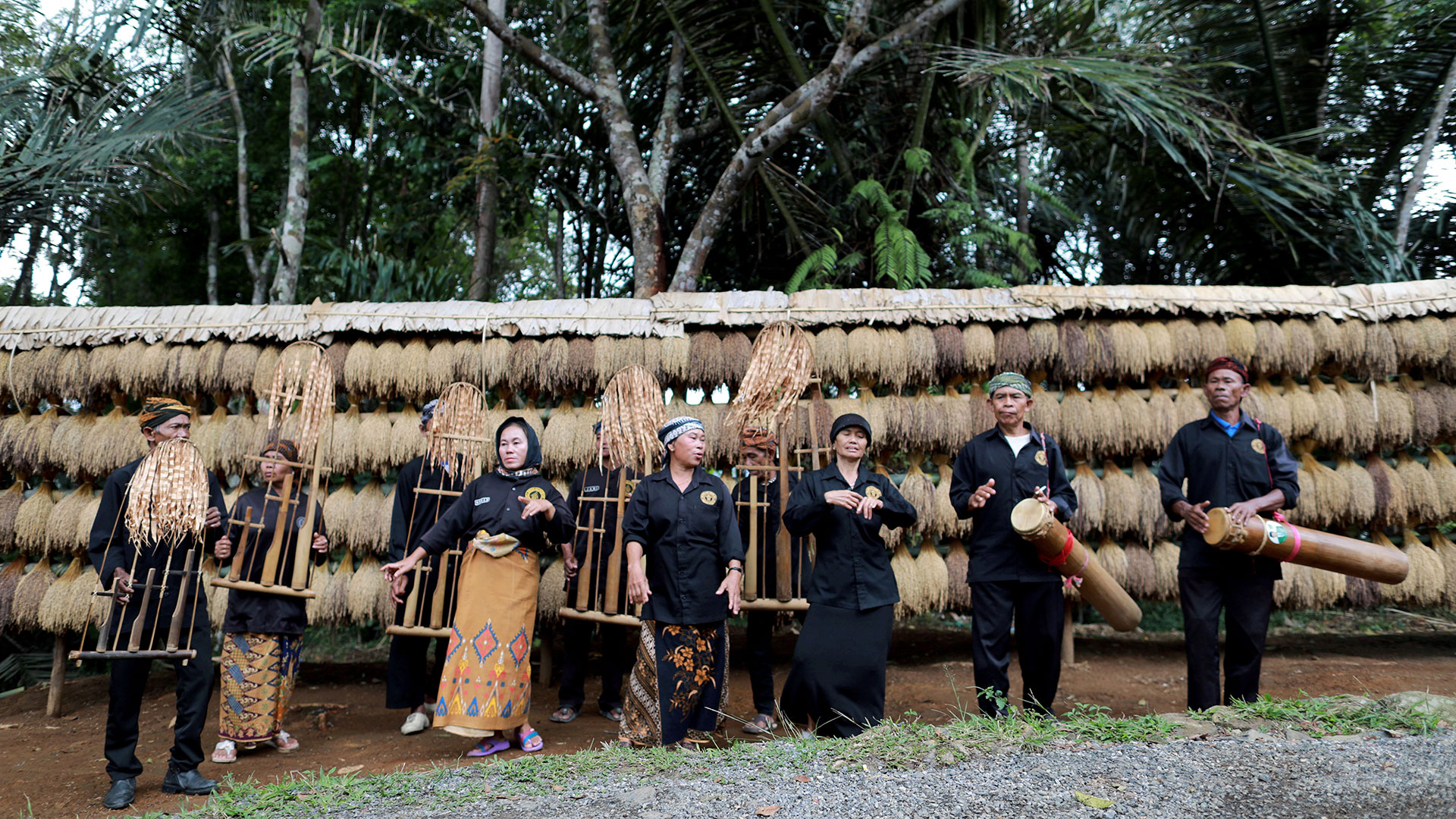 Ritual panen padi dengan angklung | Foto: Riza/interaktif.kompas.id