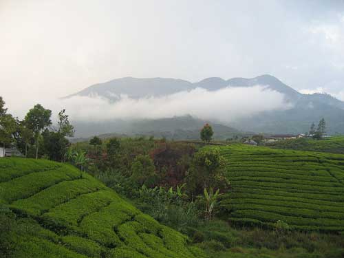 Gunung Talang (via alamendah.wordpress.com)