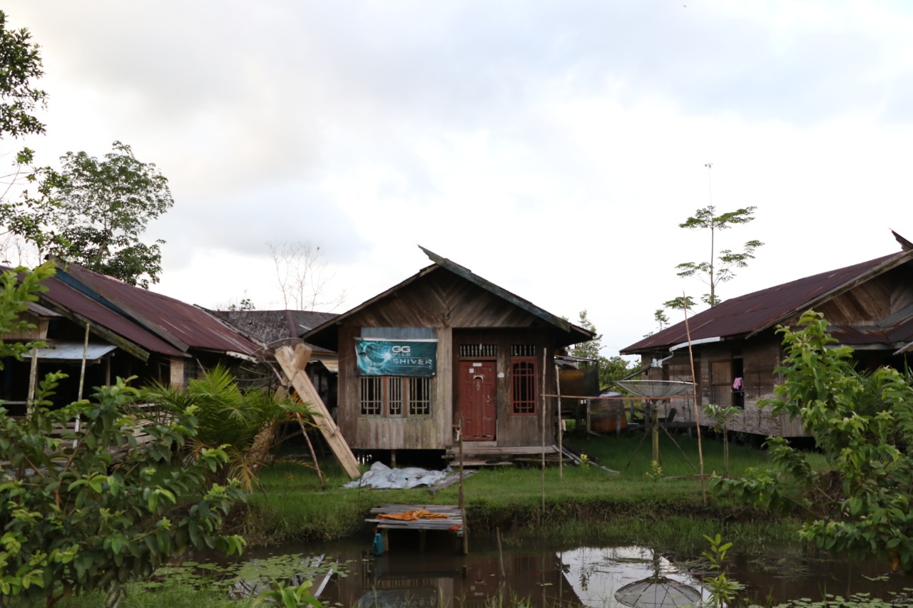 Potret rumah yang ada di desa sungai sekonyer, desa yang masuk dalam kawasan taman nasional