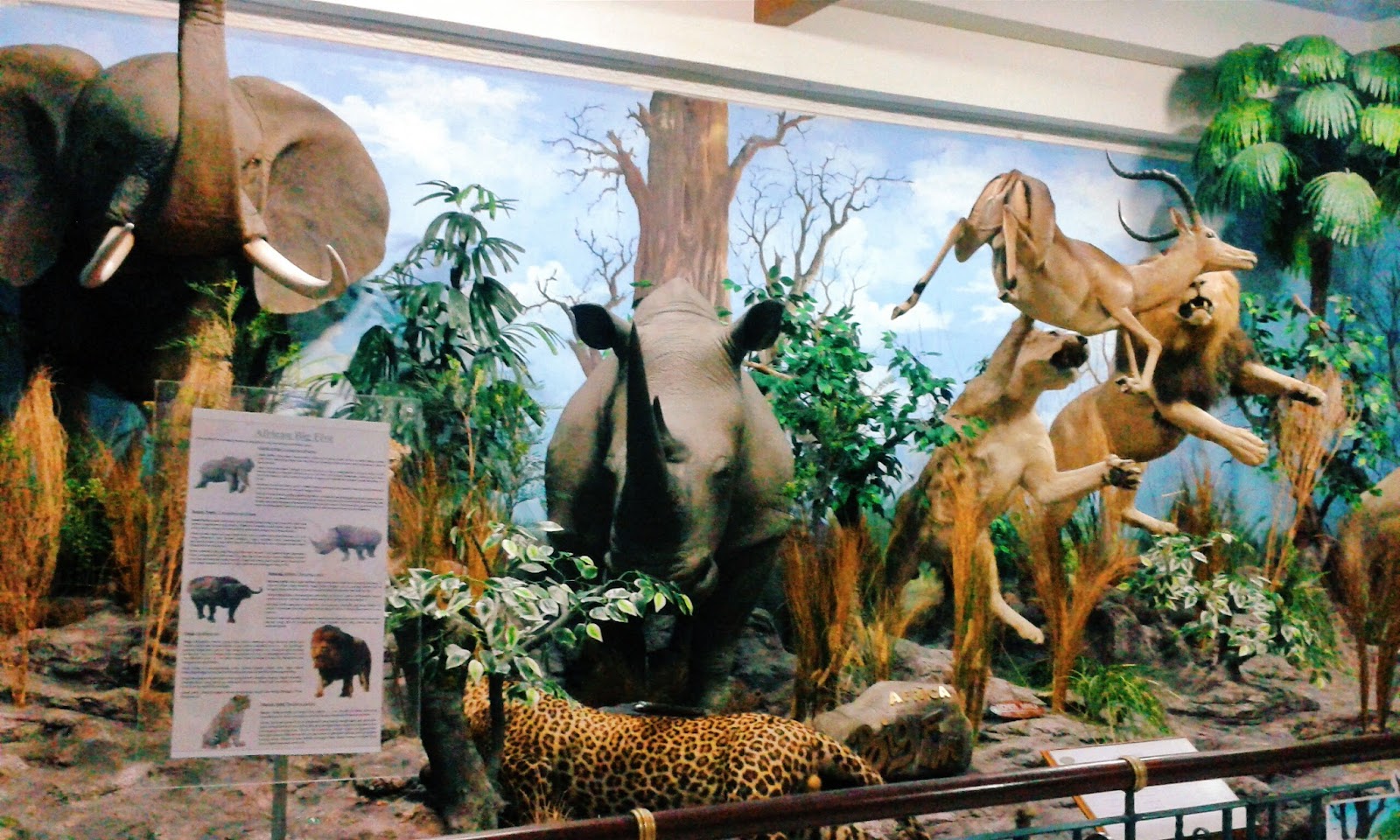 Rahmat International Wildlife Museum and Gallery Medan