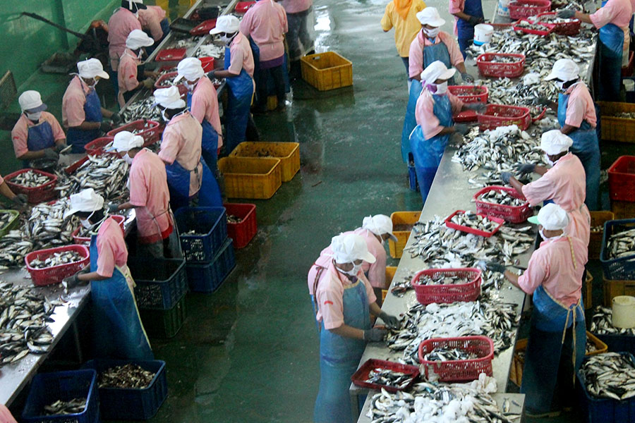 Proses pengolahan ikan menjadi produk ikan kaleng di salah satu industri pengalengan ikan di Banyuwangi. Foto: Mongabay Indonesia/Petrus Riski