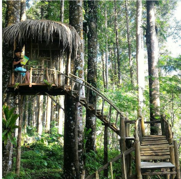 Rumah pohon yang bisa menjadi tempat santai menikmati pemandangan dan tempat belajar di Kampung Kurcaci (sumber foto: brilio.net)