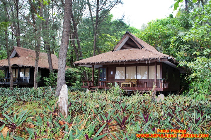 Bungalow Pulau Pelangi Resort