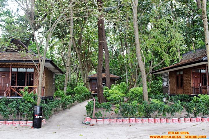 Cottage Pulau Sepa Resort Yang Terbuat Dari Anyaman Bambu