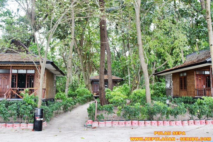 Cottage Pulau Sepa Resort Di Pulau Seribu Jakarta