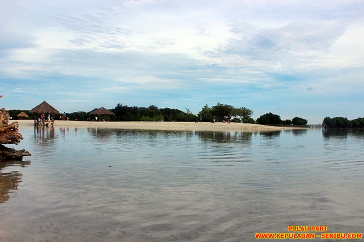 Pantai Pasir Perawan Pulau Pari Wisata Pulau Seribu