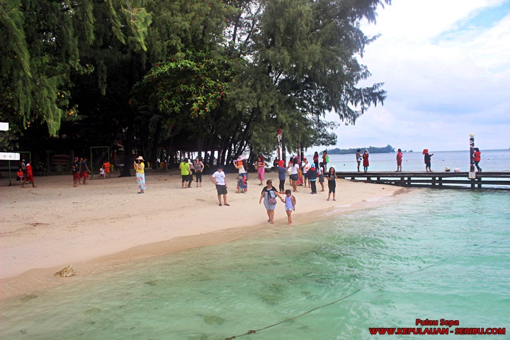 Pulau Sepa Resort Dengan Hamparan Pasir Putih 