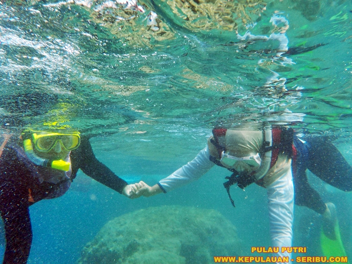 Spot Snorkeling Di Pulau Putri Resort Wisata Pulau Seribu