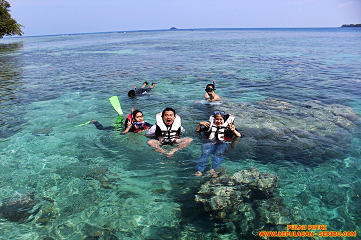 Snorkeling Di Pulau Putri Resort Wisata Pulau Seribu