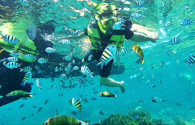 Snorkeling Pulau Macan Eco Resort Wisata Pulau Seribu