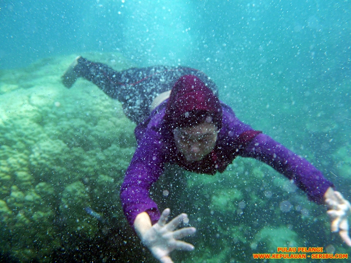 Snorkeling Pulau Pelangi Resort Wisata Pulau Seribu