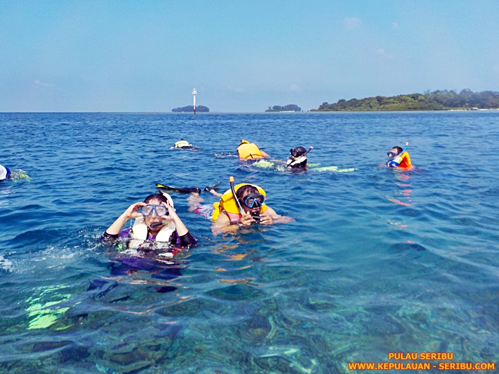 Snorkeling Di Pulau Seribu
