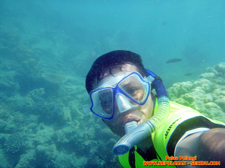 Snorkeling Wisata Di Pulau Seribu 